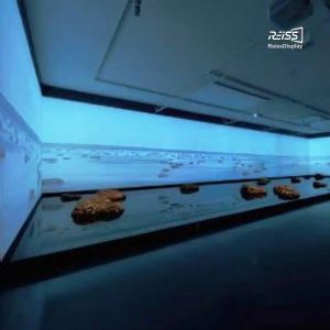 REISS UHD Pitch Indoor 4k 8k LED Display Screen Front Loading Panel System 600mm