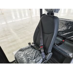 50km/H Electric Passenger Closed Tricycles