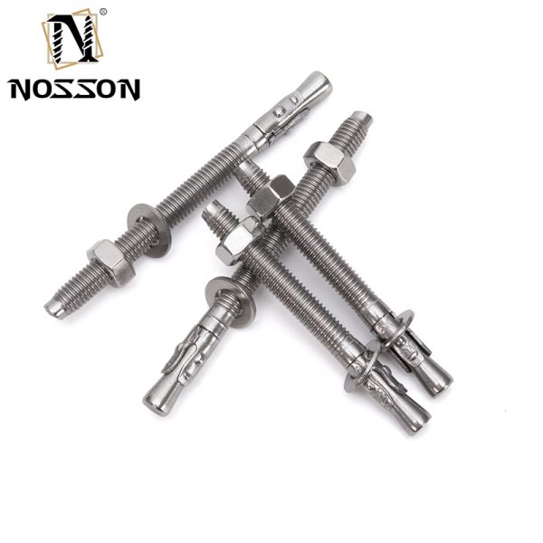Metric Passivation Finish Stainless Steel Through Bolt Expansion Anchor for Strong and Durable Fastening