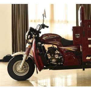 200cc Engine Tricycle Motorcycle with ZONGSHEN/LIFAN/LONCIN/YINXIANG of Strong