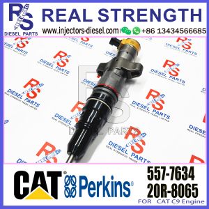 C9 Diesel Engine Fuel Excavator 267-9734 476-8769 557-7633 557-7634 387-9434 C-A