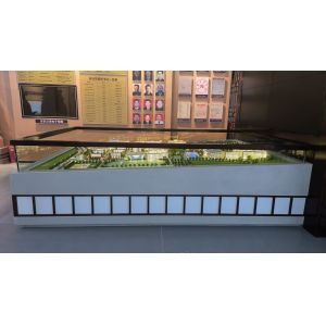 High School Campus Model School Scale Model 1:100 With Scenic Landscaping