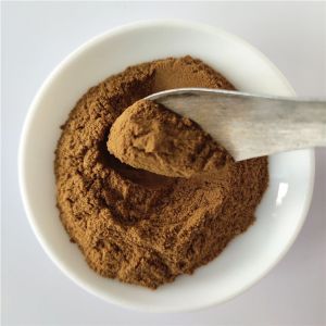 Quality gmp akebia caulis extract with best price for sale