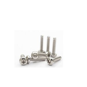M2.5 Stainless Steel 304 Pan Head Self-Tapping Screw Din7981 for Sheet Metal- 6