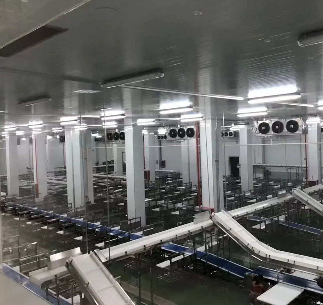 2480*1340*1480mm Poultry Slaughtering Line CE Certificate Chicken Feather
