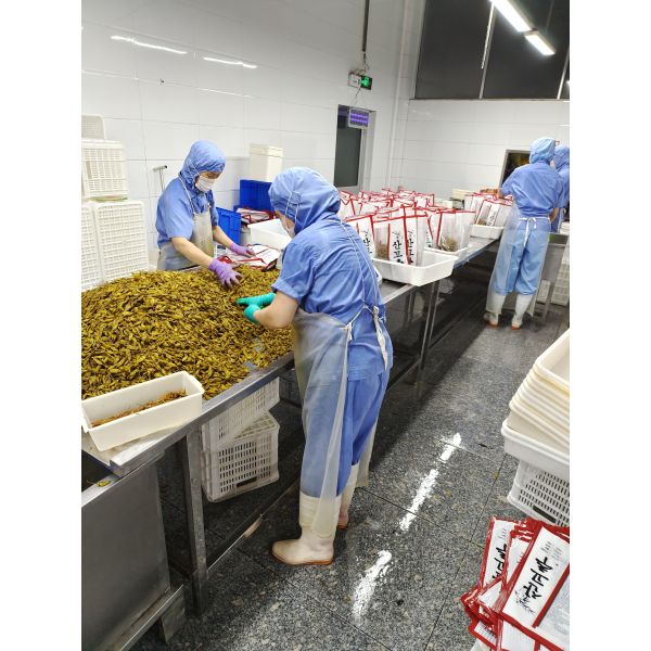 1kg Delicious Fresh Pickled Shibazuke Green Pickled Pepper Authentic Japanese Flavor