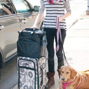 Pet Dog Carry On Luggage Pet Travel Bag
