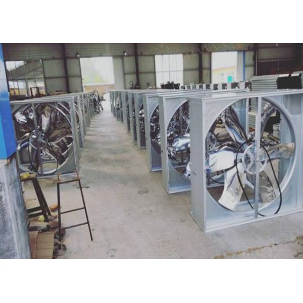 Buy Agriculture Greenhouse Cooling System , Multipurpose Greenhouse Exhaust Fan at wholesale prices