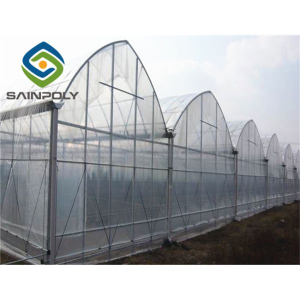Buy Commercial Plastic Film 4m Multi Span Greenhouse For Vegetables at wholesale prices