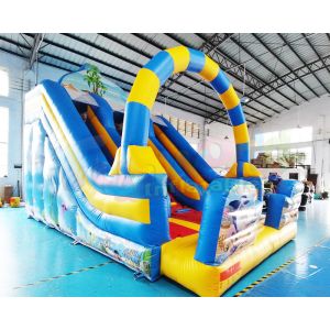 ROHS Commercial Inflatable Slide Children Bounce House In Backyard