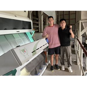 5 Chutes Moldy Wheat Color Sorter , Sorter Machine For Wheat For Removing Mildew