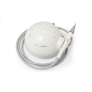 Detachable Dental Autoclavable Optical Ultrasonic Scaler Five Scaling Tips