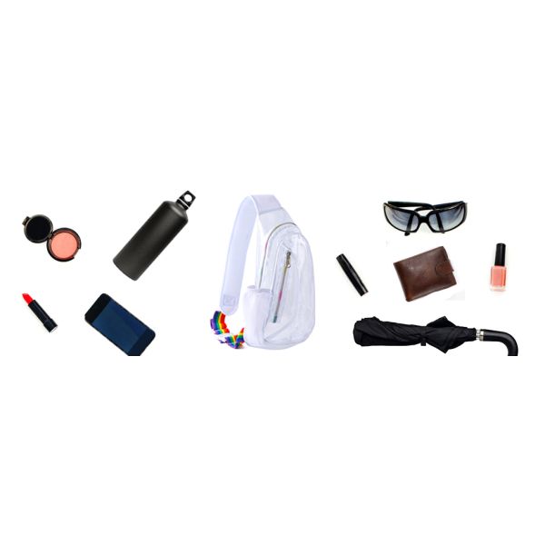 Multiple Compartment Clear Bag