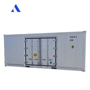 Carrier Cooler 20ft Reefer Container with Side Door Aluminum Bottom Thermo King