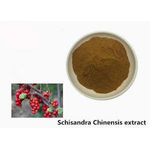 Hepatoprotective 5.2% Schisandra Chinensis Plant Extract Powder