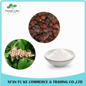 Gallnut Extract Gallic Acid Powder 99%