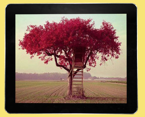 High Brightness 12" Stand Alone Digital Signage Monitor Ipad Style For Bus