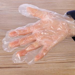 Disposable Transparent Thin Plastic Gloves / Waterproof Latex Free Protective