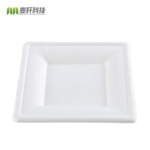 6" Natural Disposable Plates Sugarcane Bagasse Containers Compostable Paper