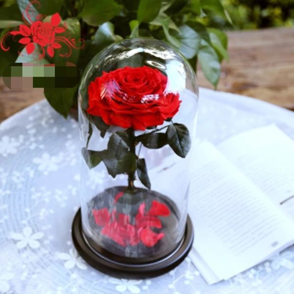 Beautiful Rose Flowers Everlasting Rose Preserved Flower Eternal Rose in Glass