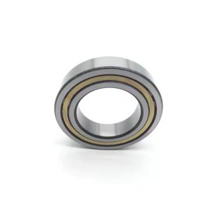 NJ310ECM Cylindrical Roller Bearings (NJ310E.M1 NJ310EM NJ310M Available)