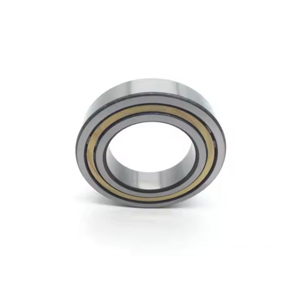 Buy NJ310ECM Cylindrical Roller Bearings (NJ310E.M1 NJ310EM NJ310M Available) at wholesale prices