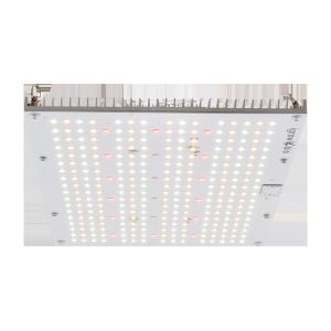 China High PPFD IP65 5000lm Quantum Grow Lights on sale