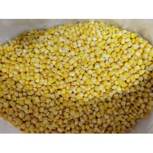 China Iqf 24 Months Frozen Sweet Corn Kernels on sale