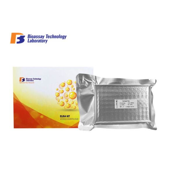 SOCS Box Protein 2 Sandwich ELISA Kit 2 Hours Assay Length Human High Sensitive