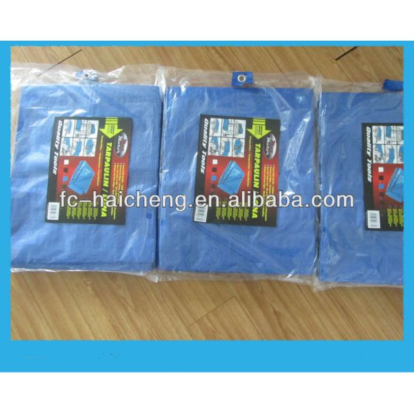 PE tarpaulin for sandbox cover use,customized tarpaulin cover