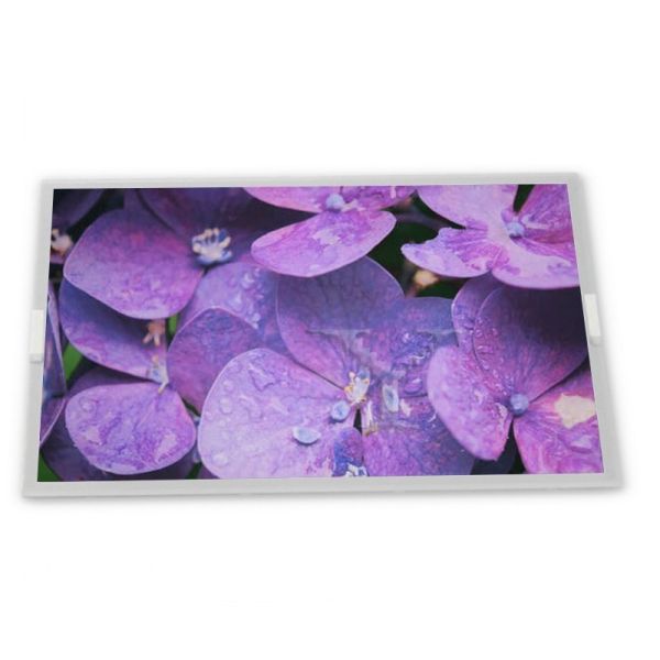 Buy 6.2 Inch 720*1520 A-Si TFT-LCD BV062WFQ-L16-8Q01 CELL at wholesale prices