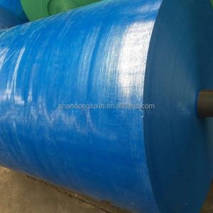 Polyethylene Tarpaulin in Customized Color Waterproof Sunlight Blocking and