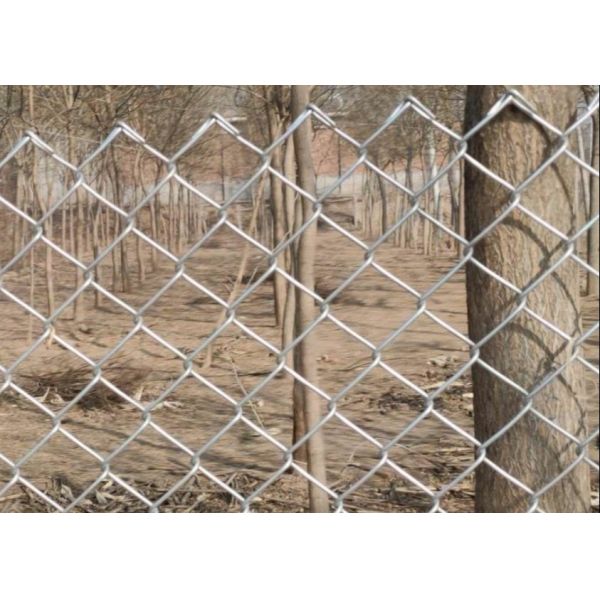 Buy 4.8mm Galvanized Chain Link Fence 50m Roll Diamond Hole Mesh at wholesale prices