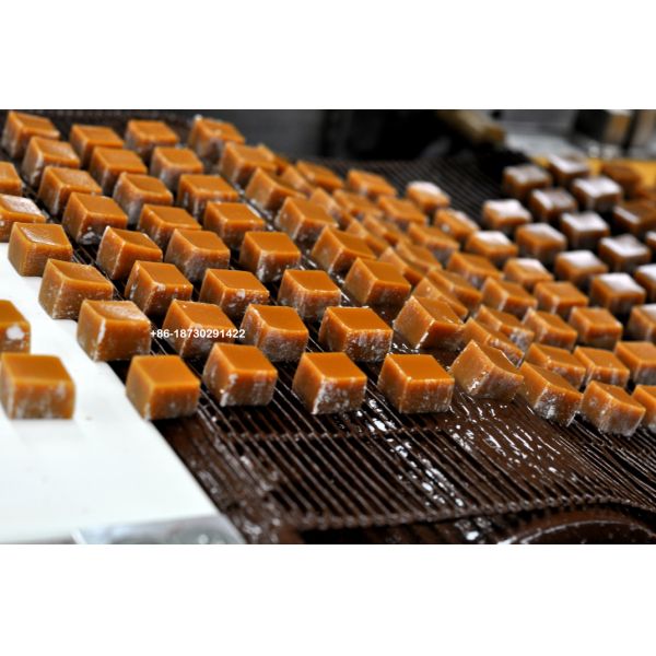 Pizza Convey Ladder Belt on Machine Stainless Steel 304 316 Flat Flex Wire Mesh Belt made in China