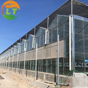 4m/8m Glass Covered Section Greenhouse for Ecological Restaurant Dining