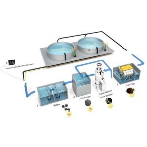 TPAF01 Automatic Fish Feeder for Aquaculture in Recirculating Pool Water System