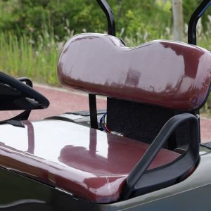 Sightseeing 10 Seater Golf Cart EV UTV With 80-120km Driving Range