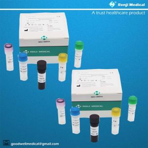 Monkeypox Virus(MPV) Nucleic Acid Detection Kit Fast Test Home Kit Real Time PCR