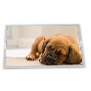 Quality LH550QH1-SH01 5.5&quot; LCD Display Modules TFT new high quality touch screen panel for sale