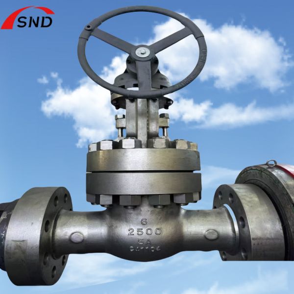 Buy 6 Inch 5A-2500 Class Dual Stainless Steel Gate Valve Middle Bolt Design at wholesale prices