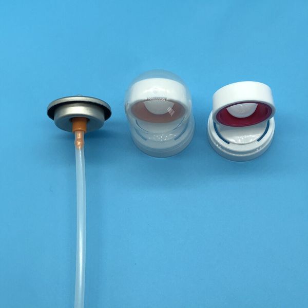 Professional Skincare Spray Valve for Spa Treatments - High-Quality