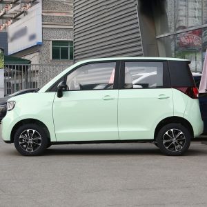 2022 Chinese EV 4 Wheel Supply Mini Car Low Speed Vehicle for Your Benefit