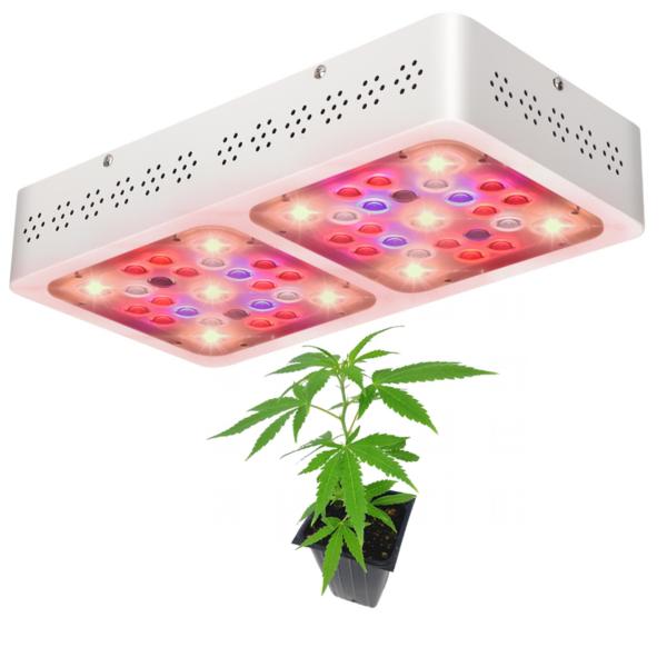 Buy High Efficiency Agriculture Led Lights ,Cannabis Growing Led Lights Low Heat at wholesale prices