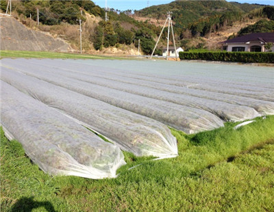 Tear Resistant PP Spunbond Nonwoven Fabric / Vegetable Garden Weed Control Fabric