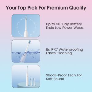 Hot Selling OEM Electric Toothbrush Recharge Type-C IPX7 Tooth Polish Cleaning