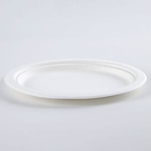 Biodegradable Sugarcane Pulp Party Dinnerware Plate Sugarcane Bagasse Paper