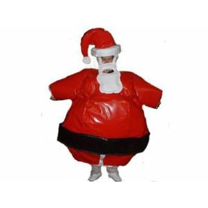 Quality Inflatable Amusement Park With Santa Claus , Sumo Wresting Suit for sale