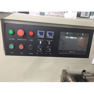 Automatic Horizontal vegetable/fruit pouch Packing Machine