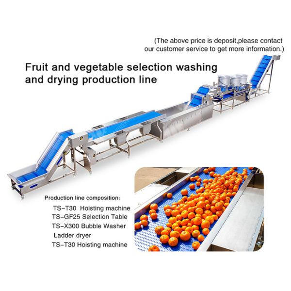 1500KG/H Orange Selection Fruit And Vegetable Processing Line