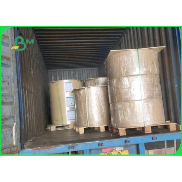 300gsm One Side Coating CCNB Paper For Cake Box 900 * 1220mm FSC Certified